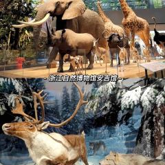 黄妈妈家宴精品农庄 User Photo