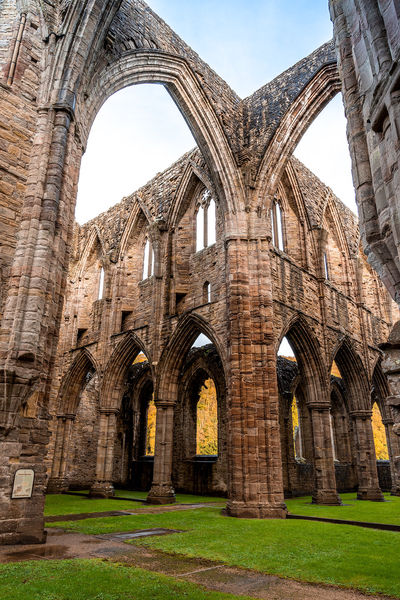 Tintern Abbey