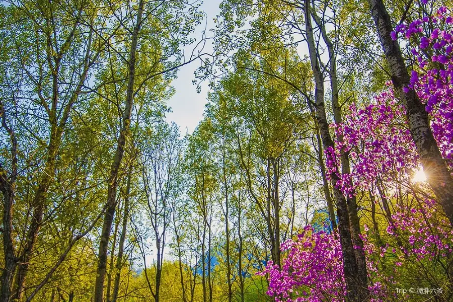 Labagou National Forest Park