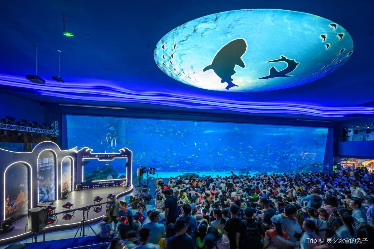 上海海昌海洋公園でとっておきの1日を過ごそう