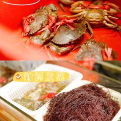 閩東霞浦灘涂海鮮張用戶圖片