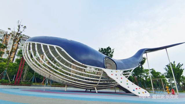 Big Blue Whale Theme Children's Park