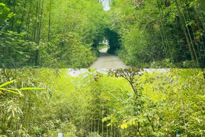 青芷森林·咖啡店