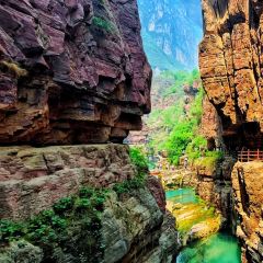 云台山小吃城 User Photo