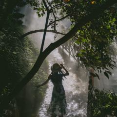 古龙渔庄 User Photo
