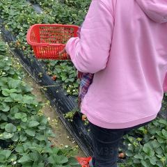 野趣園8號庭院張用戶圖片