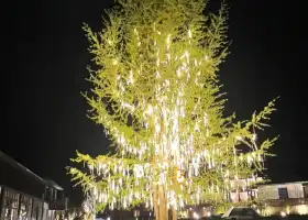 花水灣豪生百樂湯温泉