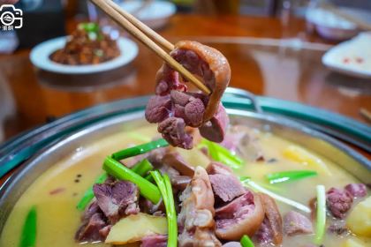 下庄村祖英农家乐