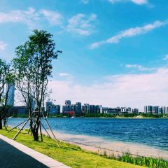 Indeed Cafe 硬地 User Photo