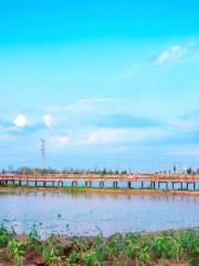 Fenghu Wetland