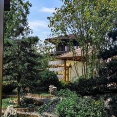 云里小坐·海泉湾·团建·聚会·下午茶(金堂海泉湾店) User Photo