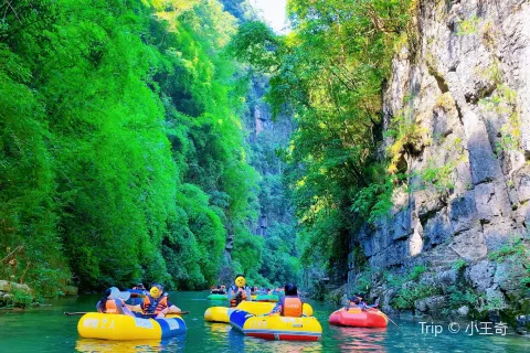 Shamu River Rafting