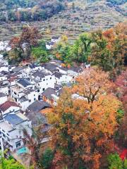 Maple Leaf Scenic Area, Shicheng