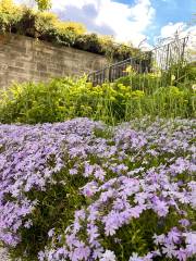 Jardins botaniques royaux