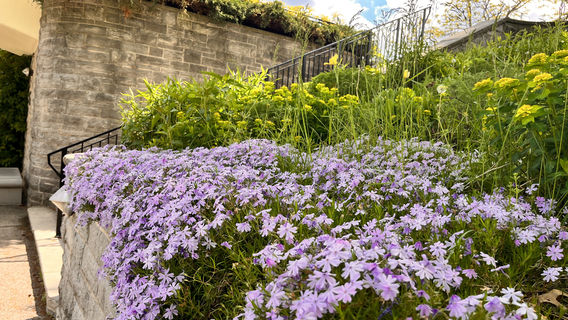 Royal Botanical Gardens