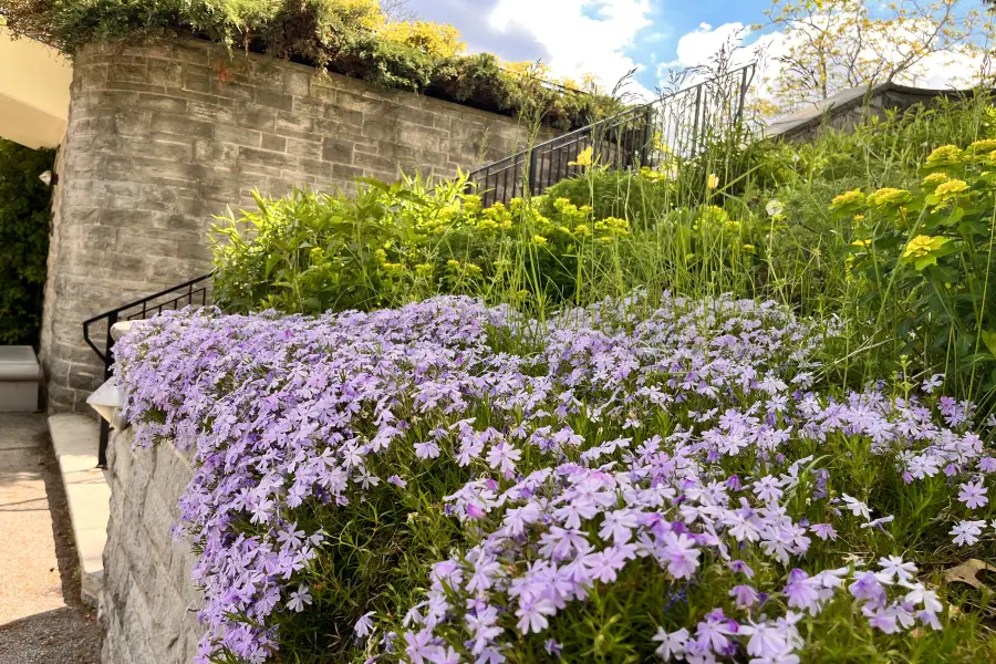 Jardins botaniques royaux