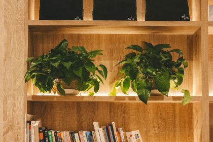 露地怪物冰屋(愚园路店)