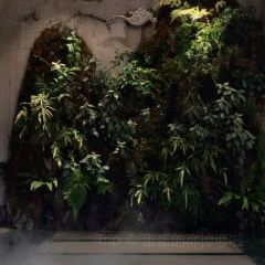 腾越荟·花园私厨 User Photo