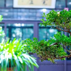 清凉茶苑(陈家坞店) User Photo