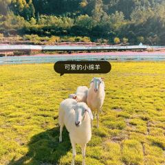 暮光之城 여행 사진