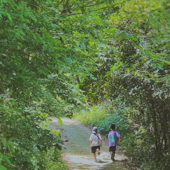 归来居 User Photo