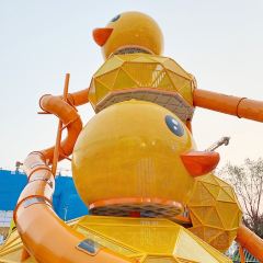 拾光張用戶圖片
