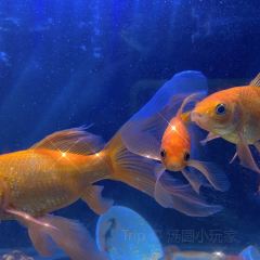 798小酒馆(裕后街店) User Photo