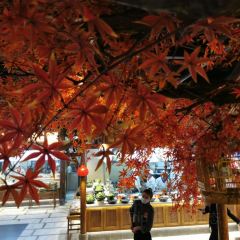 孙掌勺鱼头泡饼(怀特店) User Photo