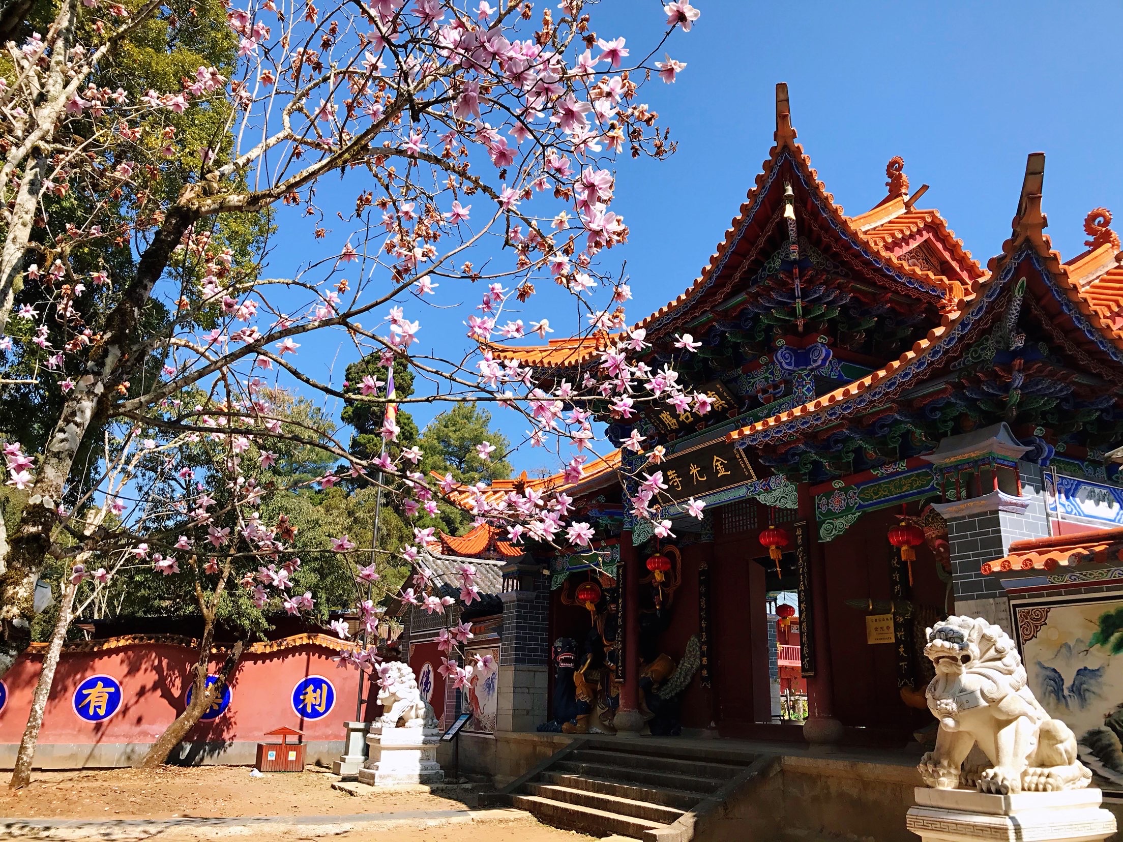 진광 사원 - 입장권, 운영 시간, 후기 & 사진 [2025년] | Trip.com
