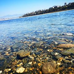 JIANG BIAN YU JIA User Photo