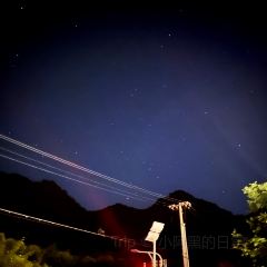 橡树红了中餐厅 User Photo