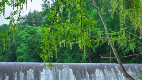邓牛肉火锅 in Pujiang