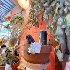 Hazelhurst Cafe User Photo