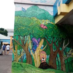 Ang Mo Kio張用戶圖片