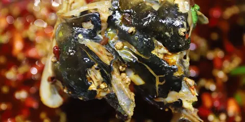 味絕美蛙魚頭火鍋