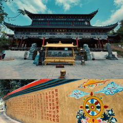 Zammai張用戶圖片