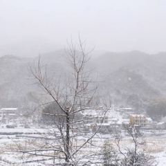大别山小院子(大别山丽景风景区店) User Photo