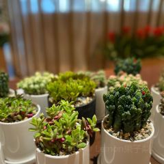 长春钜城莎玛汇酒店·早餐厅 User Photo