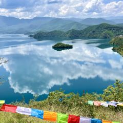 野生菌蒸汽石锅鱼 User Photo