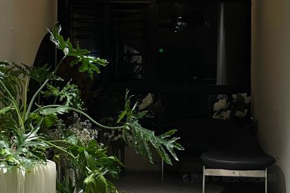 小狸奴·猫咖·猫舍(万达店)