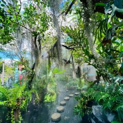 勐·波兰傣泐传统文化主题园 User Photo