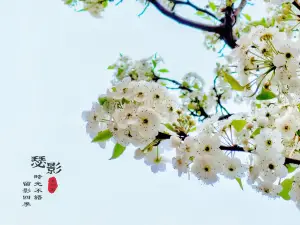 Shantou Zhongshan Park