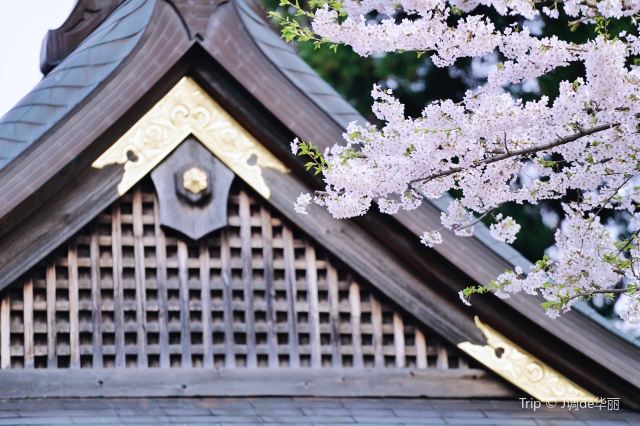 Ishiwarizakura