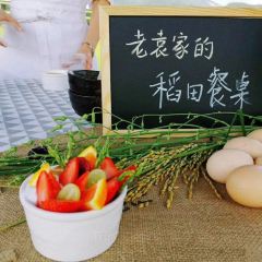 袁夫稻田火车餐厅 User Photo