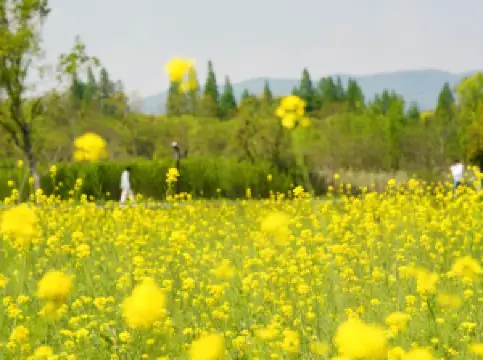 สวนสาธารณะโบราณสถานเหลียงจู