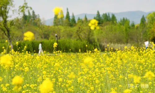 สวนสาธารณะโบราณสถานเหลียงจู