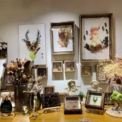 花木栏 User Photo