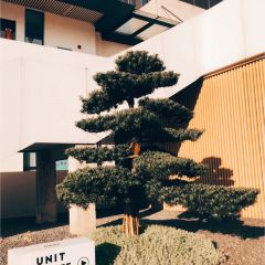 有屿UnitCoffee(月湖店) User Photo
