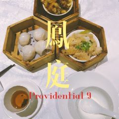 Providential 9 User Photo