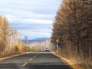 蘑阿公路